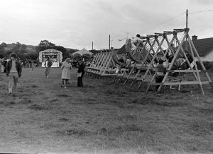 Butt's Meadow Carnival